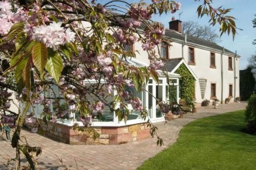 Bessiestown Country Guesthouse 칼라일 외부 사진