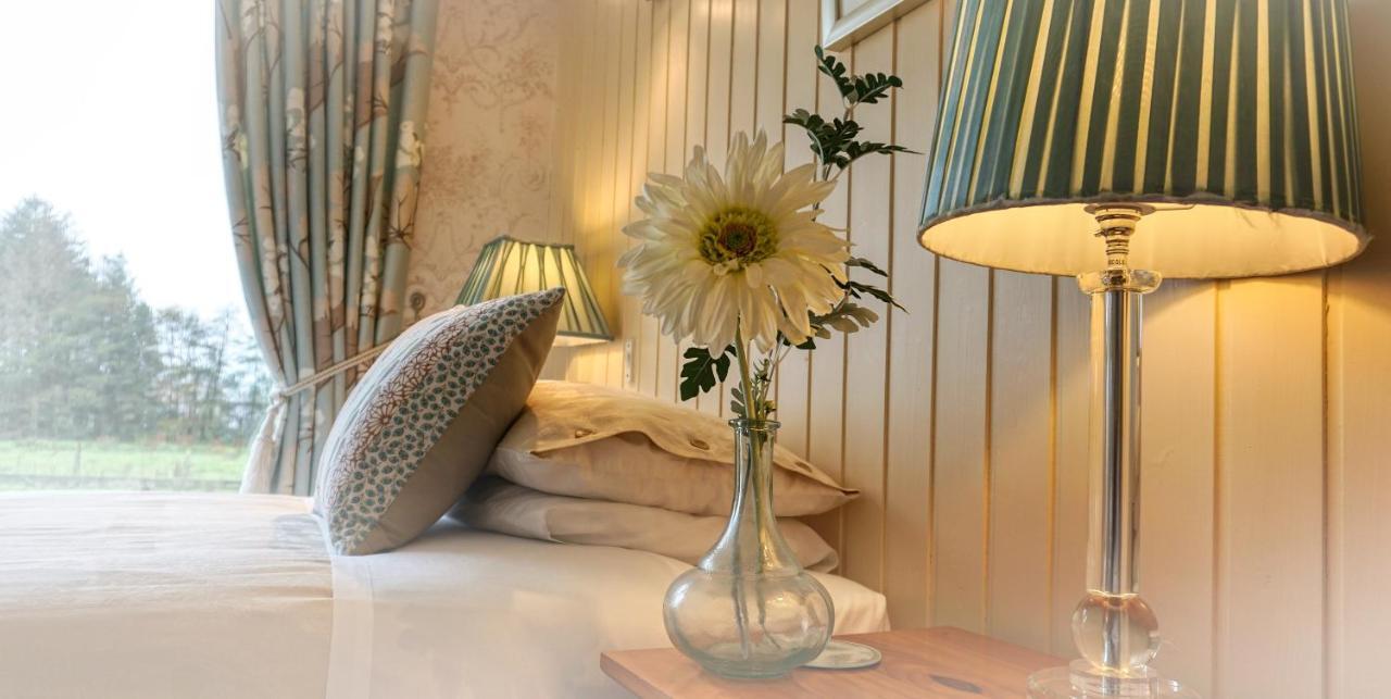 Bessiestown Country Guesthouse 칼라일 외부 사진